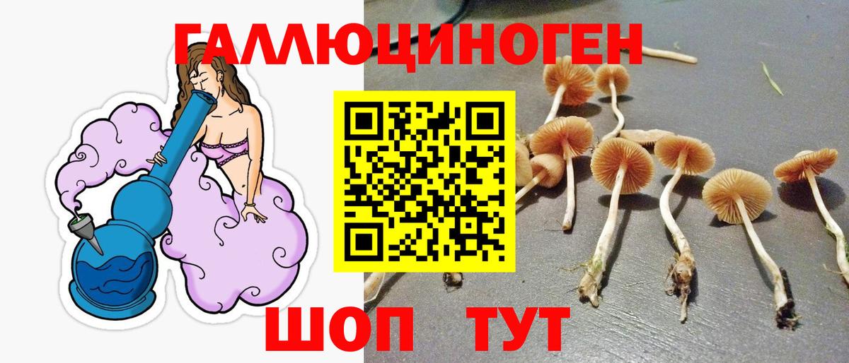 Галлюциногенные грибы мухоморы  Псилоцибиновые грибы Psilocybe  Михайловск  Вход с VPN 