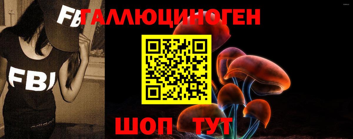 Псилоцибиновые грибы прущие грибы Михайловск